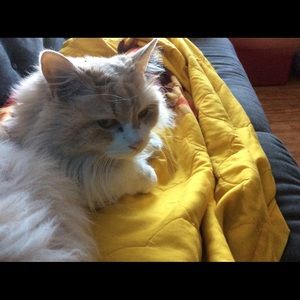 Meet your Posher, Jodi